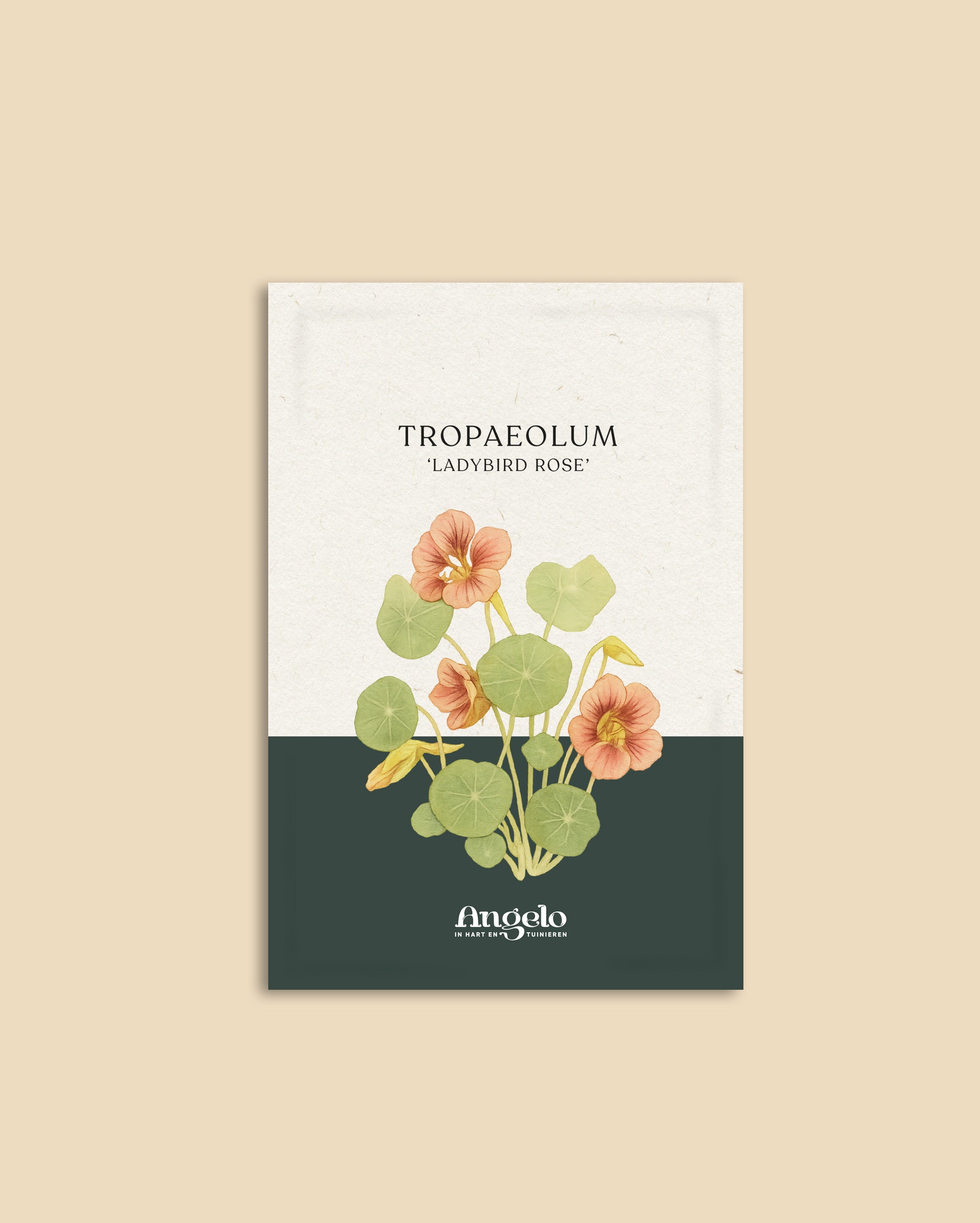 Tropaeolum minus 'Ladybird Rose'-Angelo