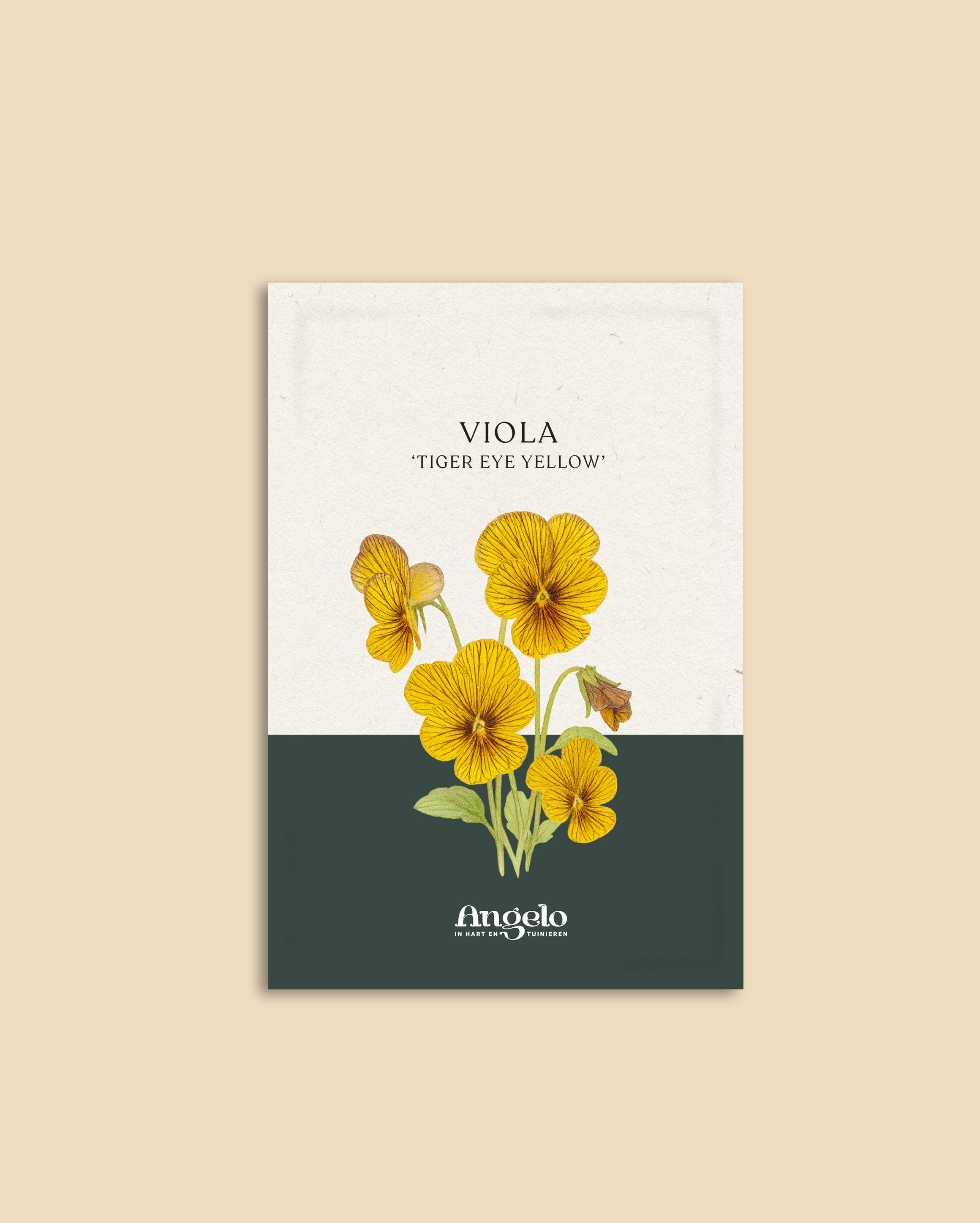 Viola cornuta 'Tiger Eye Yellow'-Angelo