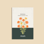 Zinnia elegans 'cresto! peachy pink'-Angelo