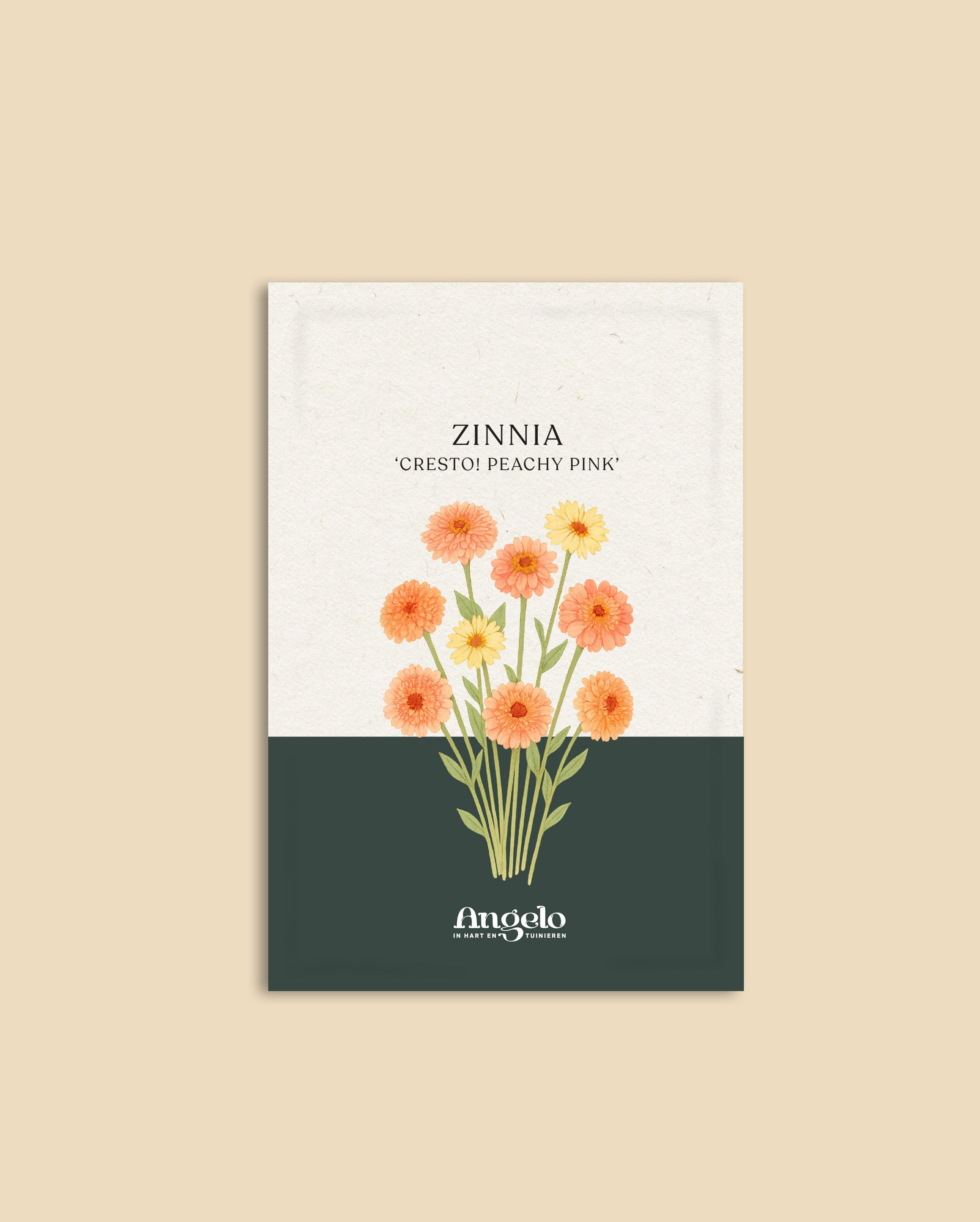 Zinnia elegans 'cresto! peachy pink'-Angelo
