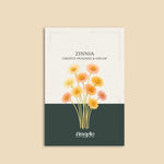 Zinnia elegans 'Cresto! Peaches & Cream'-Angelo