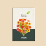 Zinnia elegans 'Carroussel'-Angelo