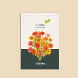 Zinnia elegans 'Carroussel'-Angelo