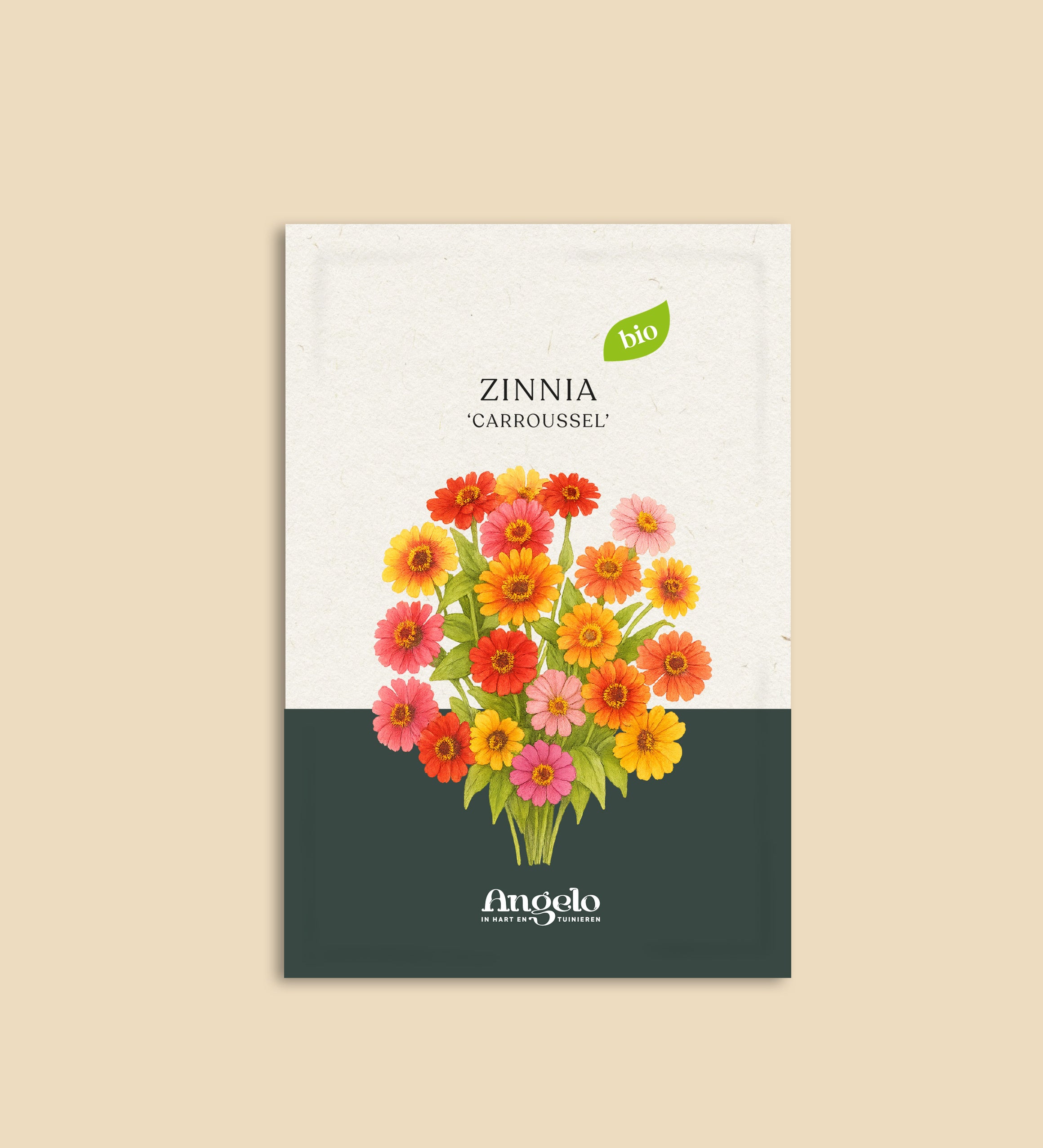 Zinnia elegans 'Carroussel'-Angelo