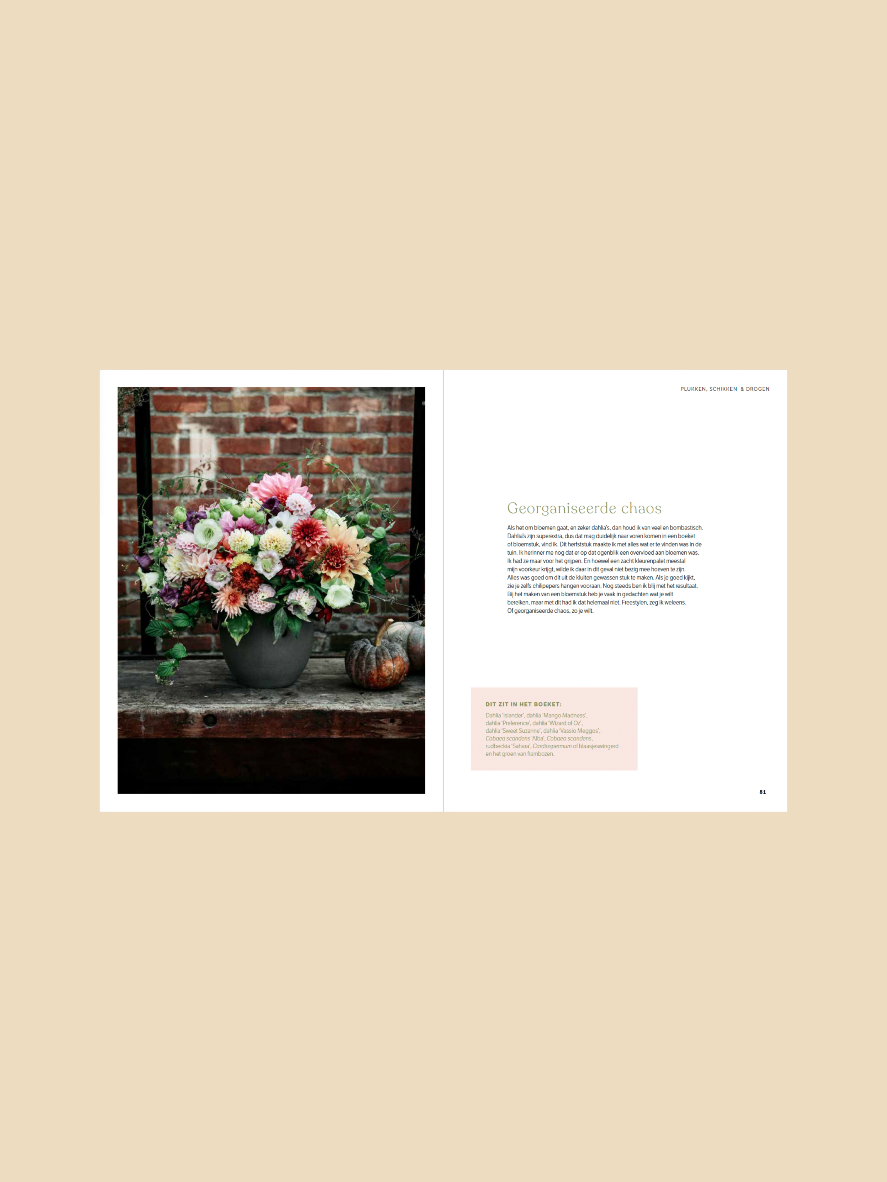 Dahlia - ode aan de koningin van de pluktuin