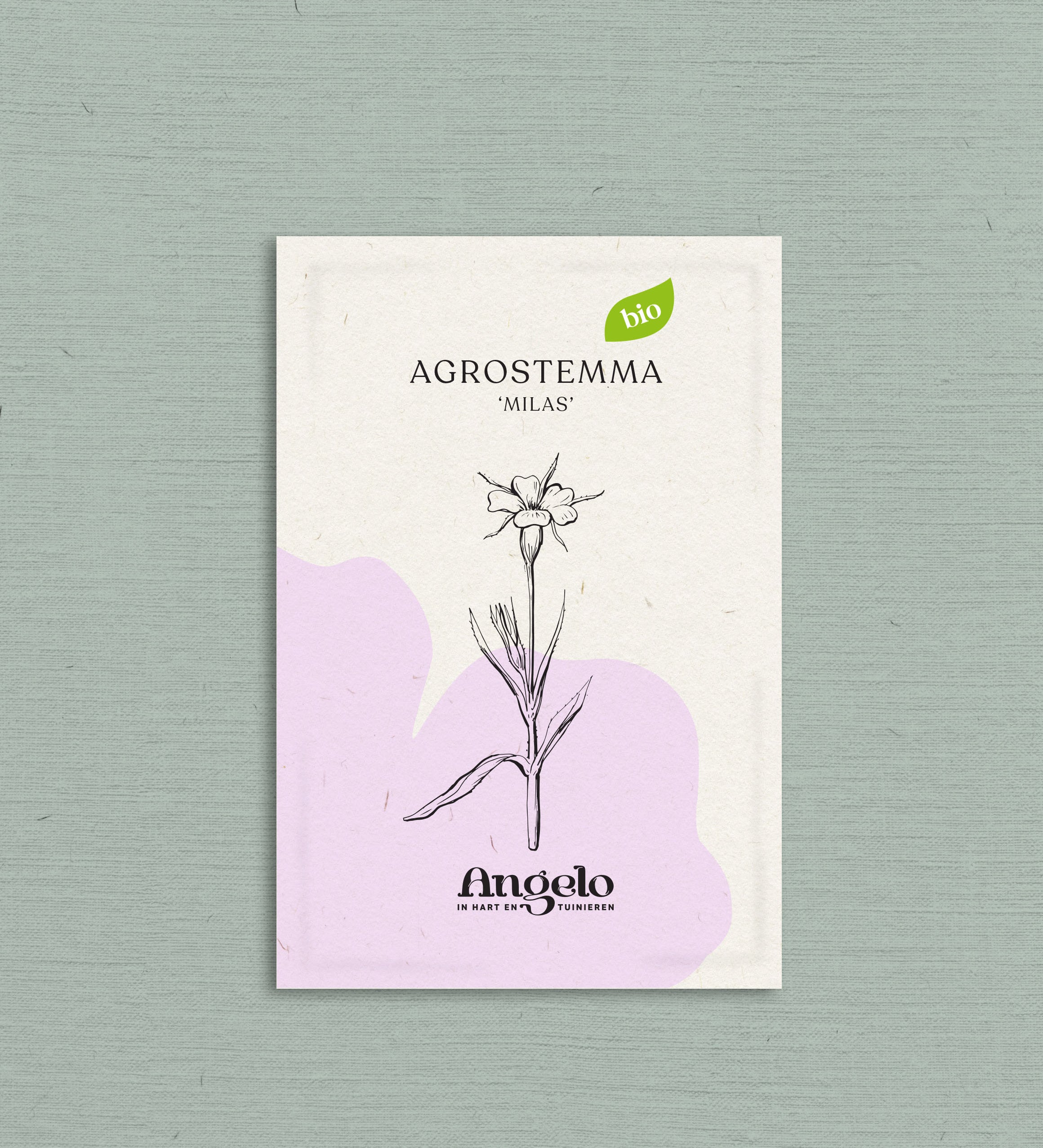 Agrostemma githago 'milas'-Angelo
