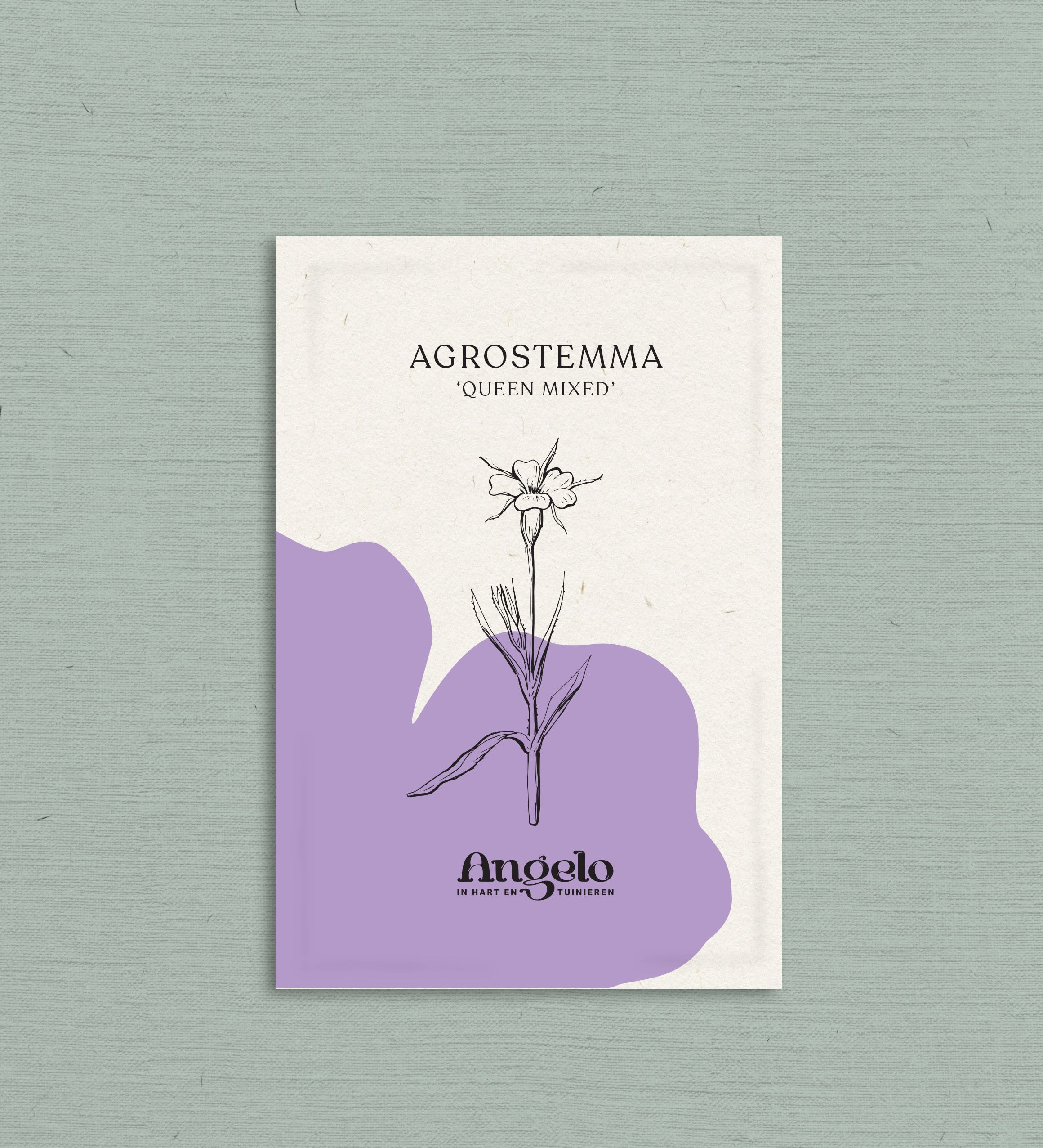 Agrostemma gracilis 'queen mixed'-Angelo
