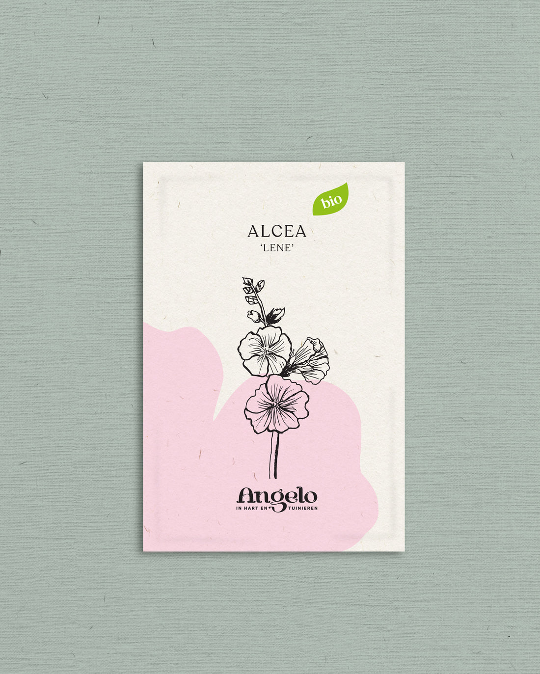 Alcea &