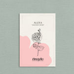 Alcea rosea 'chater’s rose'-Angelo