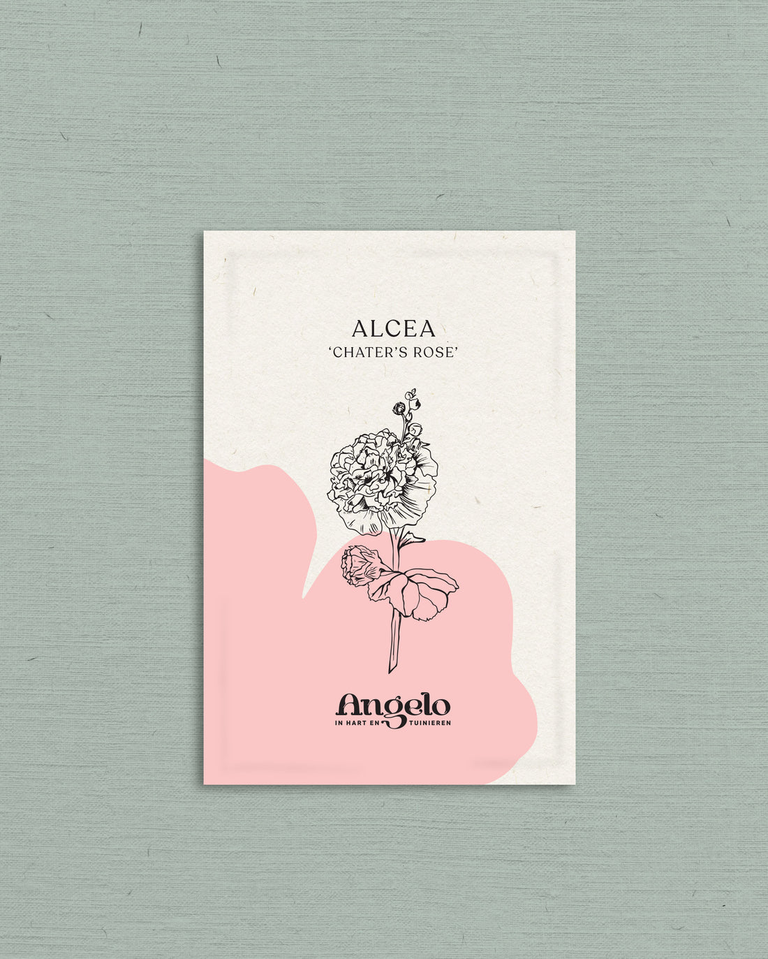 Alcea rosea &