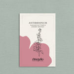 Antirrhinum majus 'madame butterfly cherry bronze'-Angelo