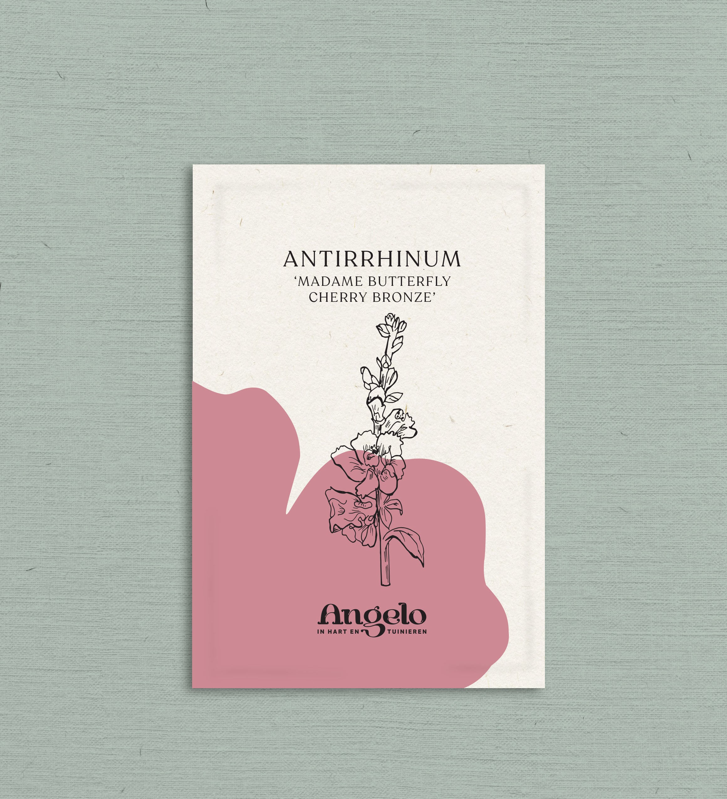 Antirrhinum majus 'madame butterfly cherry bronze'-Angelo