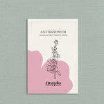 Antirrhinum majus 'madame butterfly Pink'-Angelo