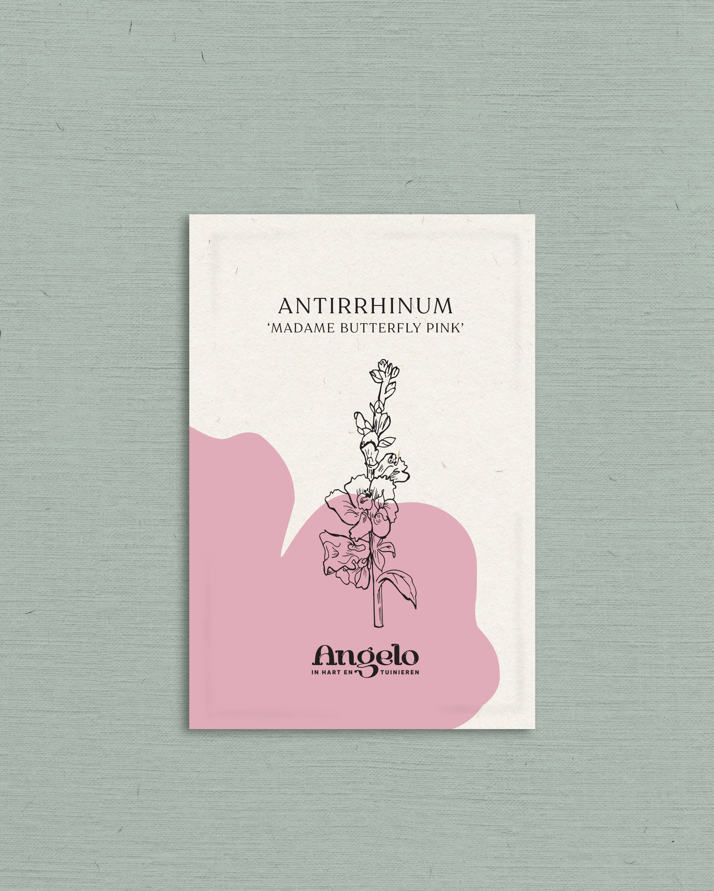 Antirrhinum majus 'madame butterfly Pink'-Angelo