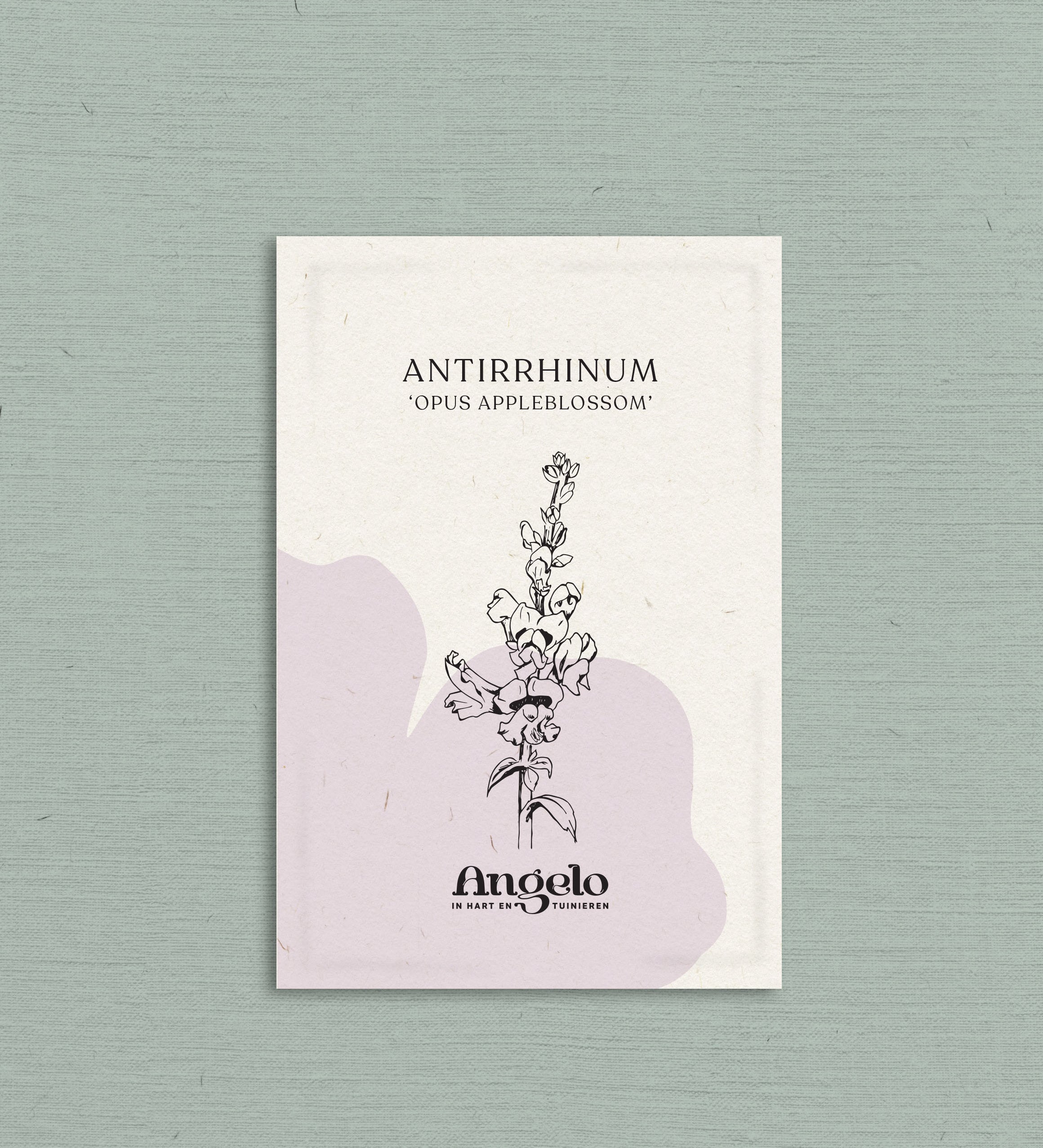 Antirrhinum majus 'opus appleblossom'-Angelo