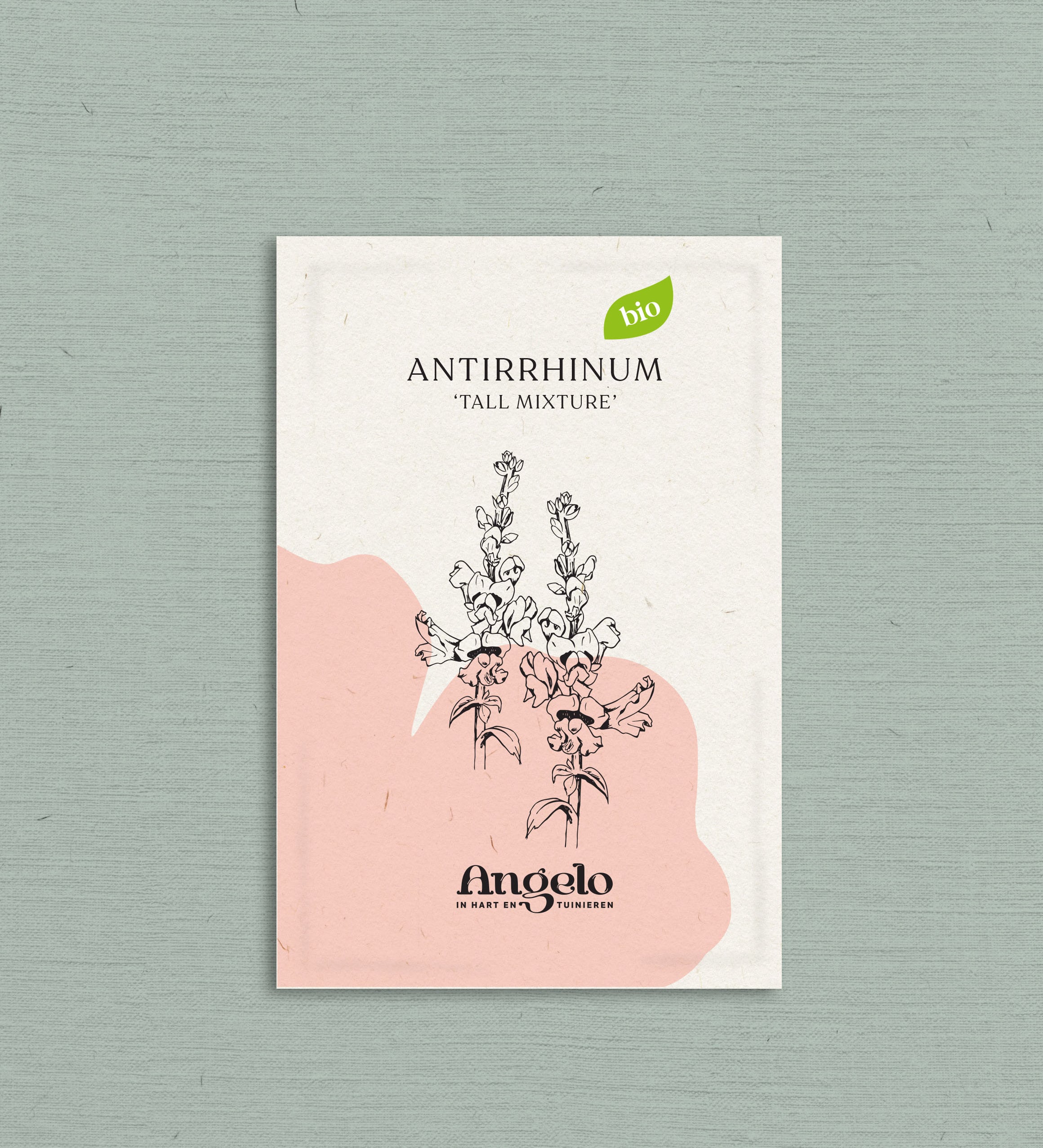 Antirrhinum majus 'Tall Mixture'-Angelo
