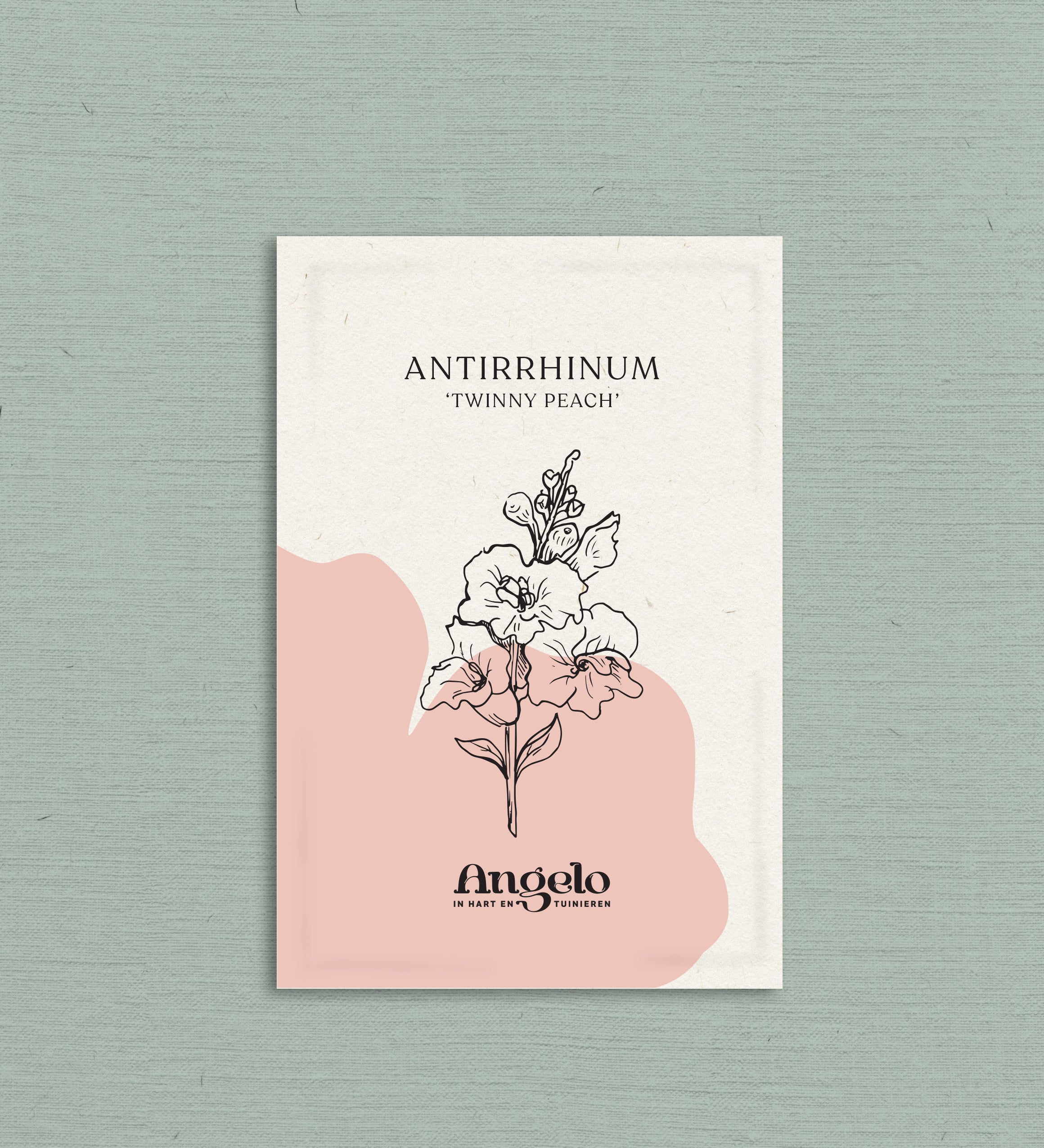 Antirrhinum majus 'twinny peach'-Angelo