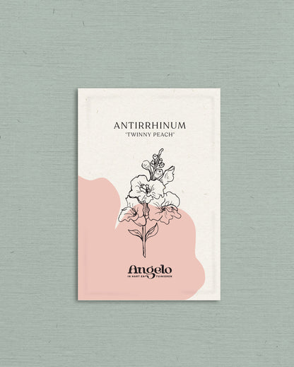Antirrhinum majus &