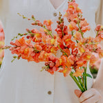 Antirrhinum majus 'potomac orange'-Angelo