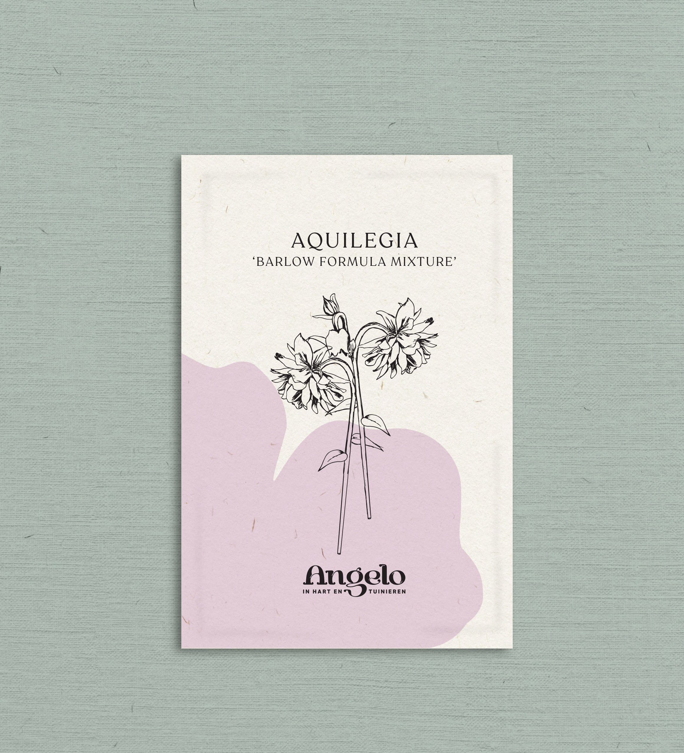 Aquilegia vulgaris 'Barlow Formula Mixture'-Angelo