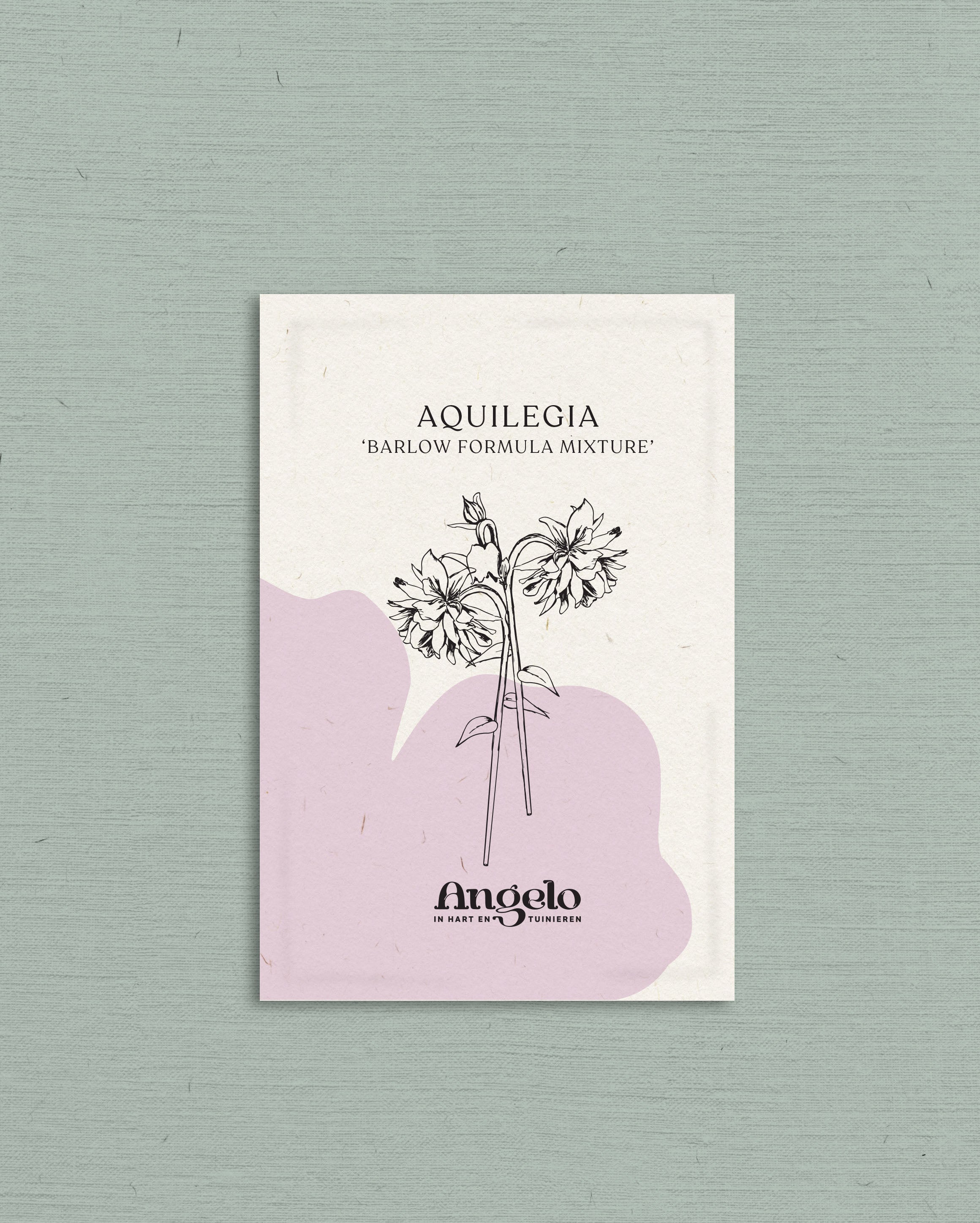 Aquilegia vulgaris 'Barlow Formula Mixture'-Angelo