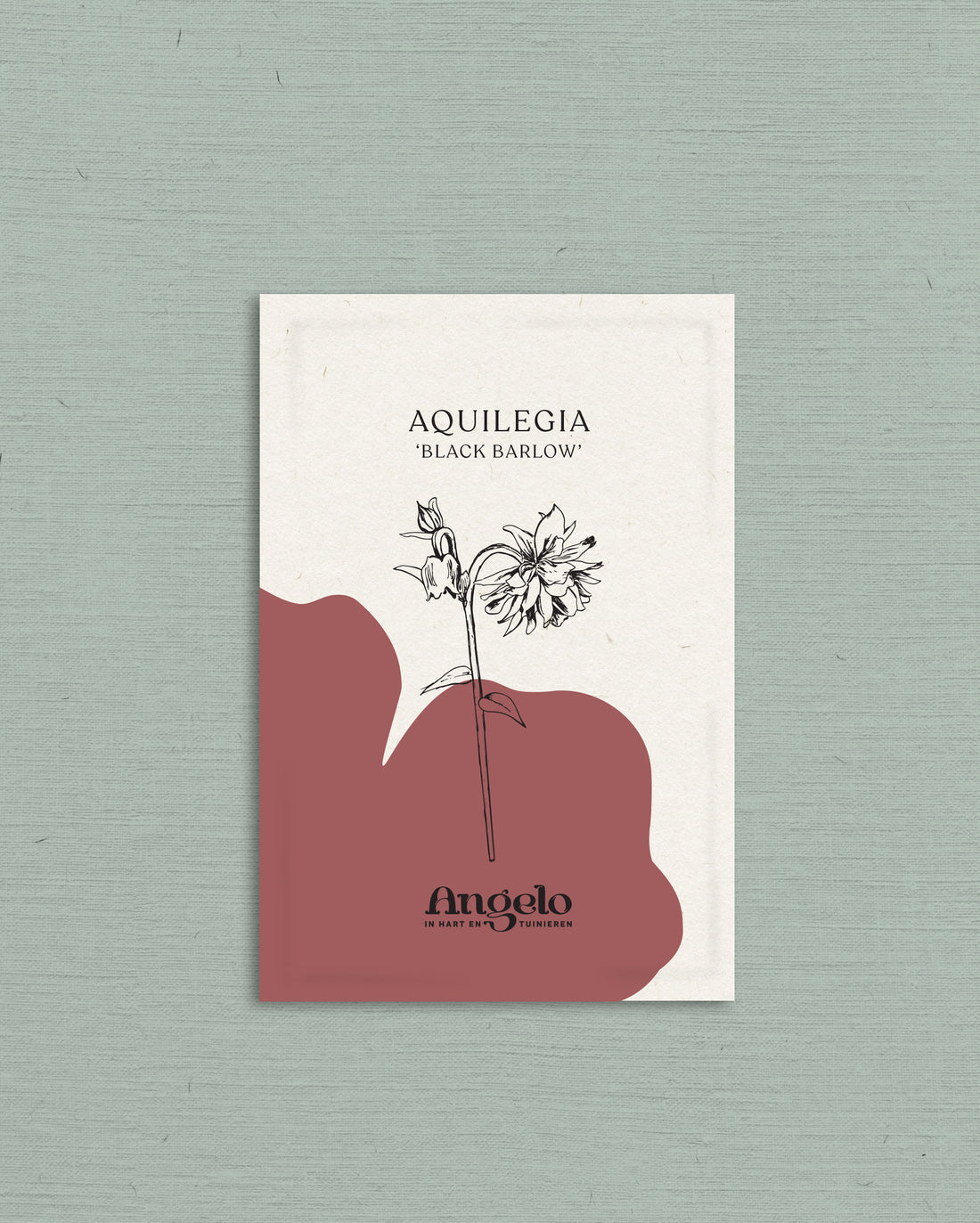 Aquilegia vulgaris &