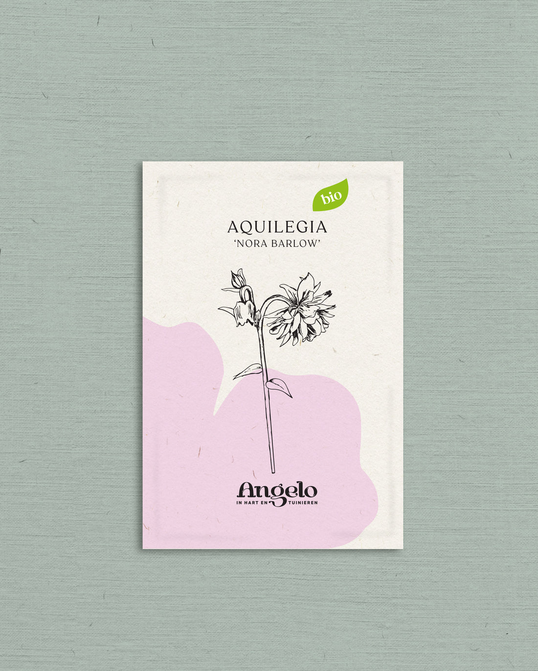 Aquilegia vulgaris &