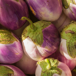 Aubergine 'Lea'-Angelo