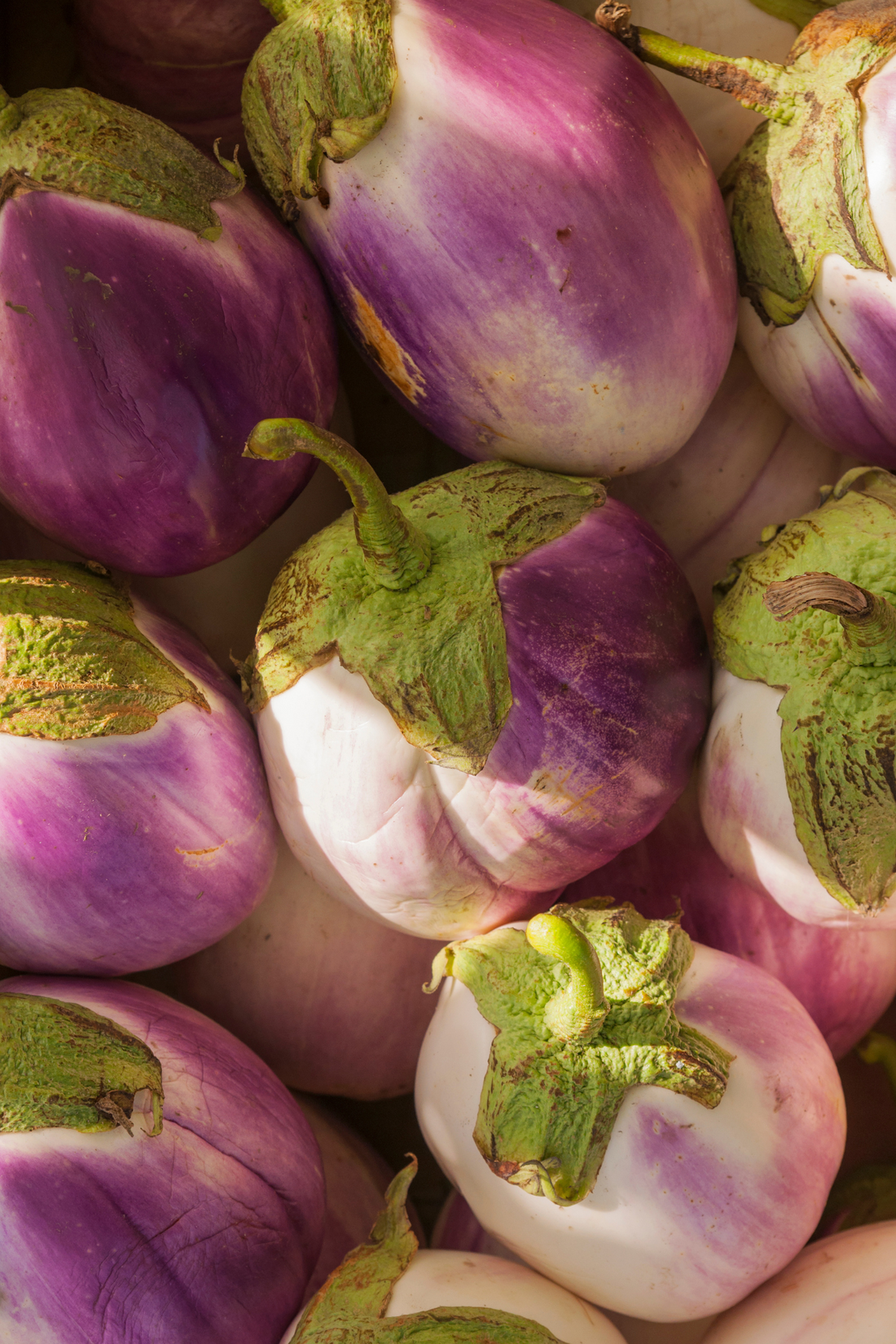 Aubergine &