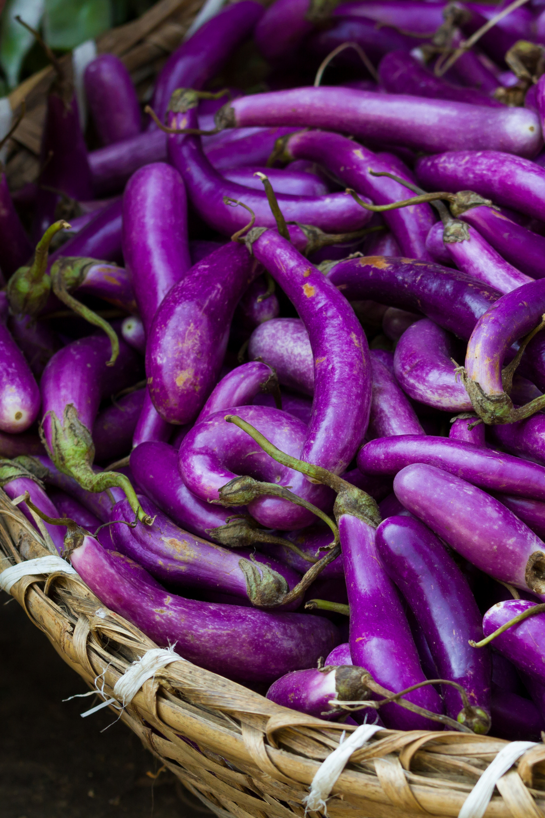 Aubergine &