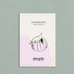 Aubergine 'Rosa Bianca'-Angelo