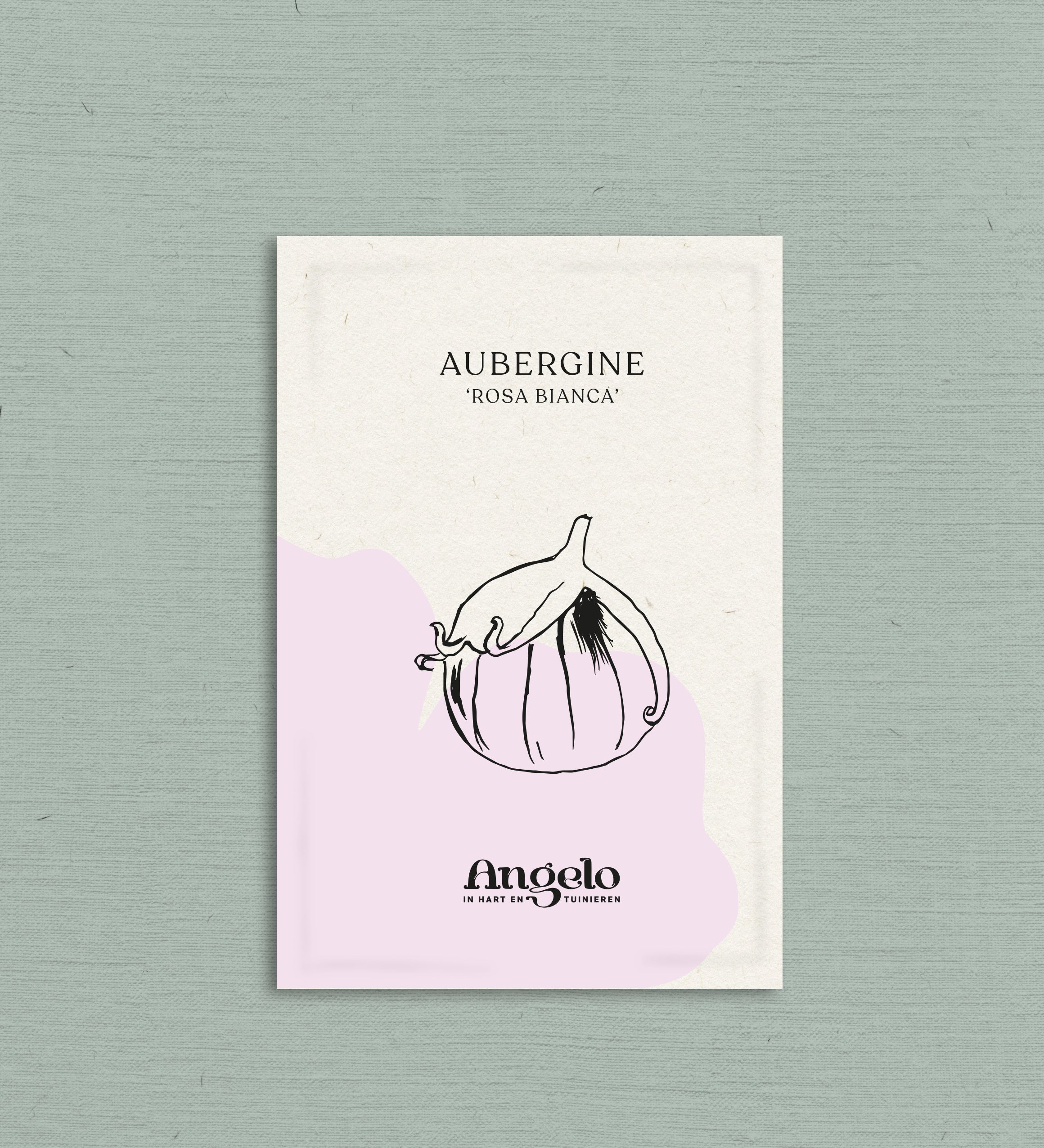 Aubergine 'Rosa Bianca'-Angelo