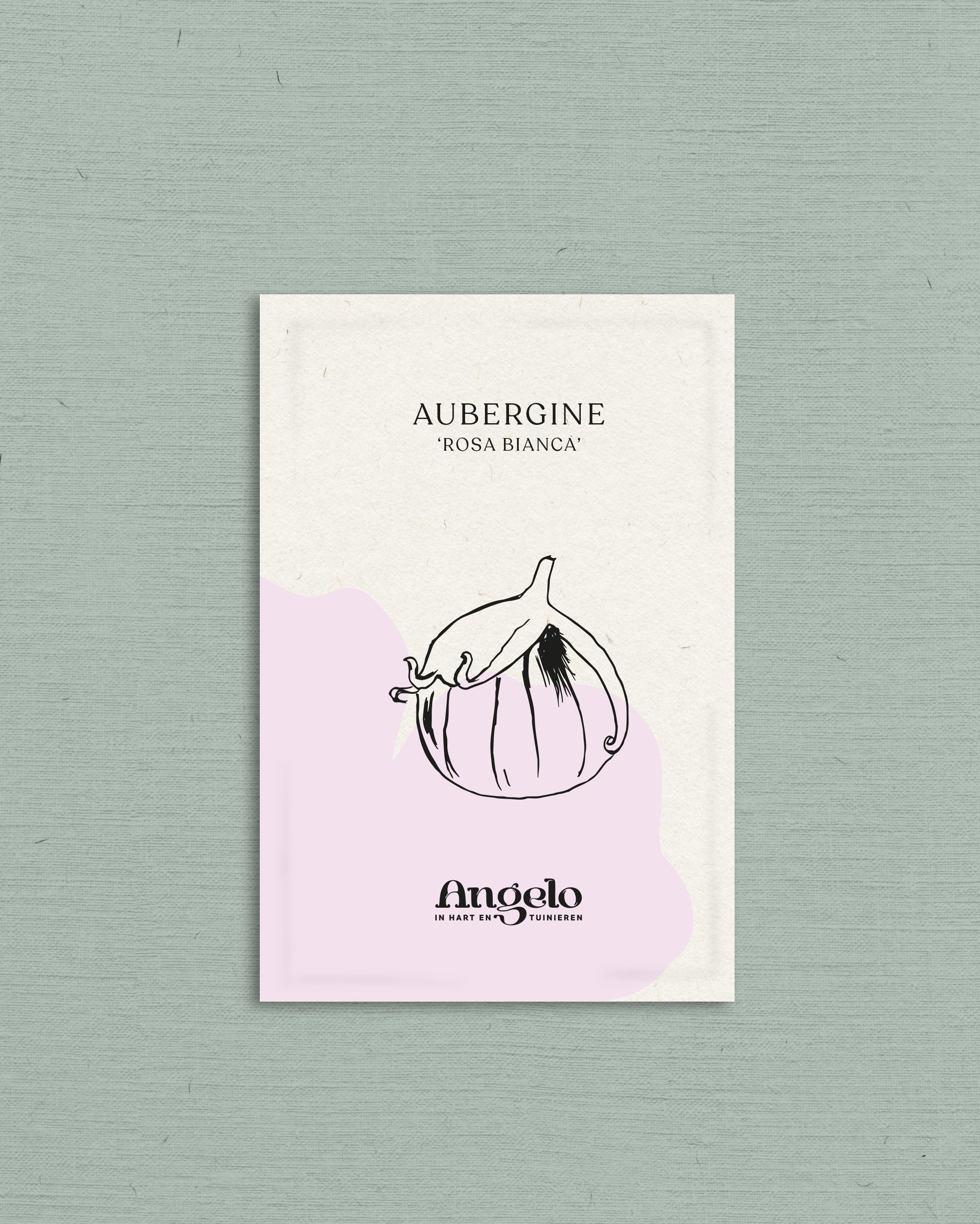 Aubergine 'Rosa Bianca'-Angelo