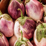 Aubergine 'Rosa Bianca'-Angelo