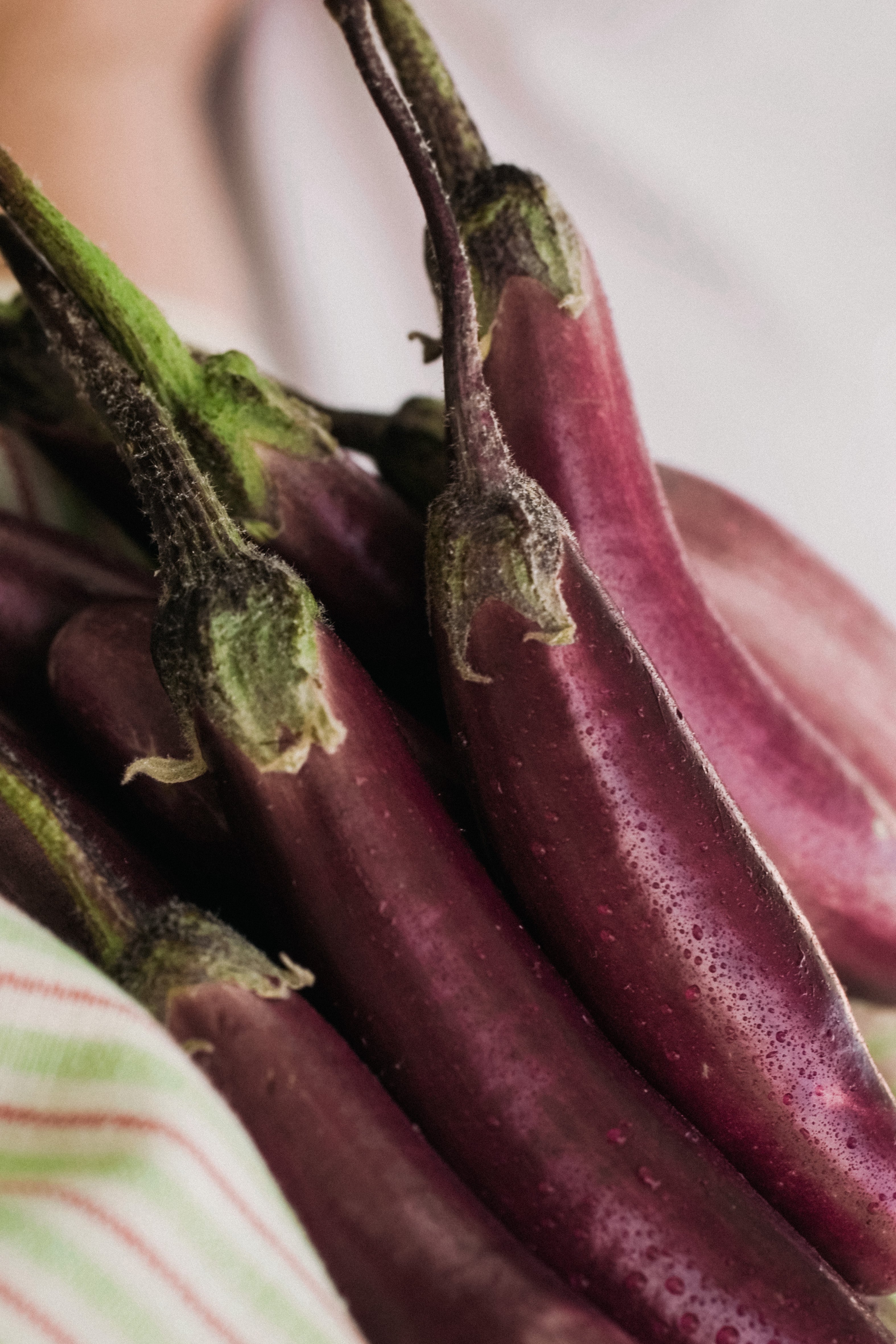 Aubergine 'Slim Jim'-Angelo