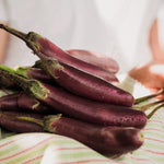 Aubergine 'Slim Jim'-Angelo
