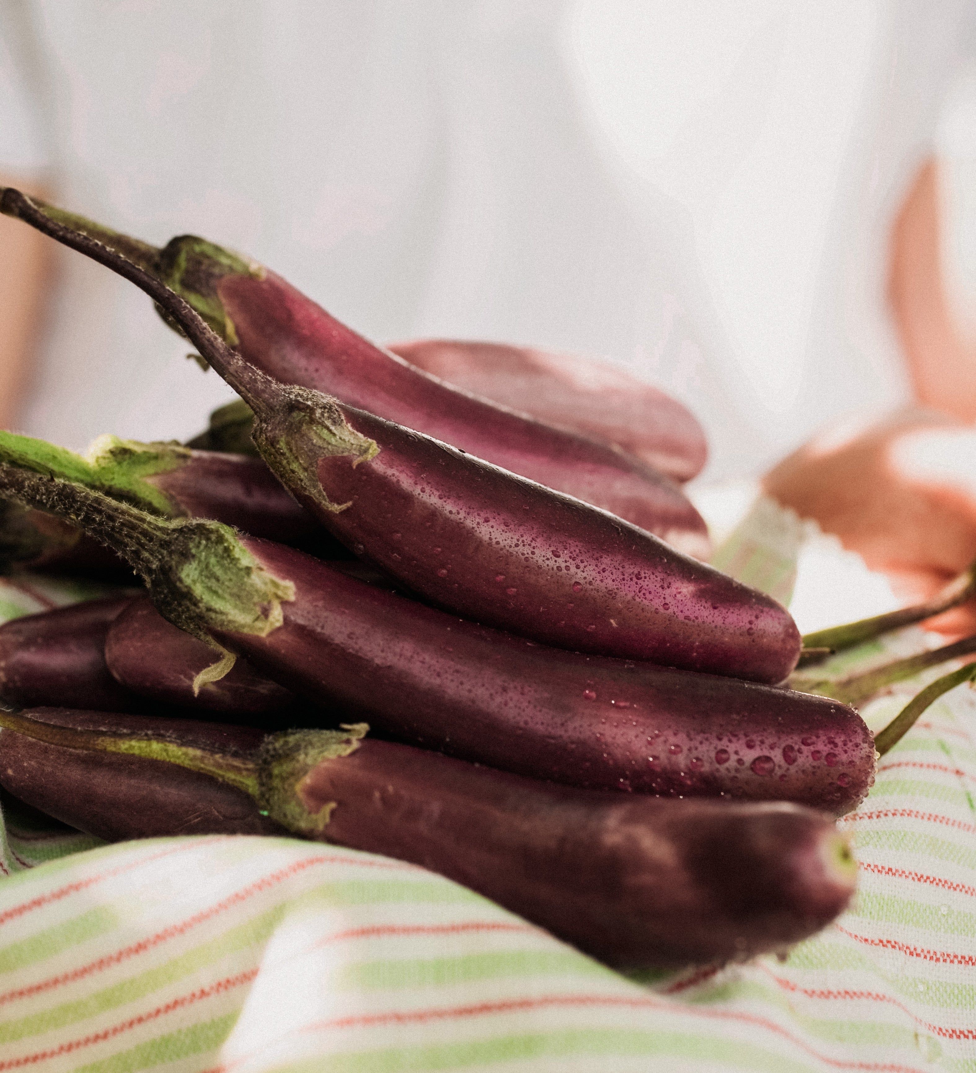 Aubergine 'Slim Jim'-Angelo
