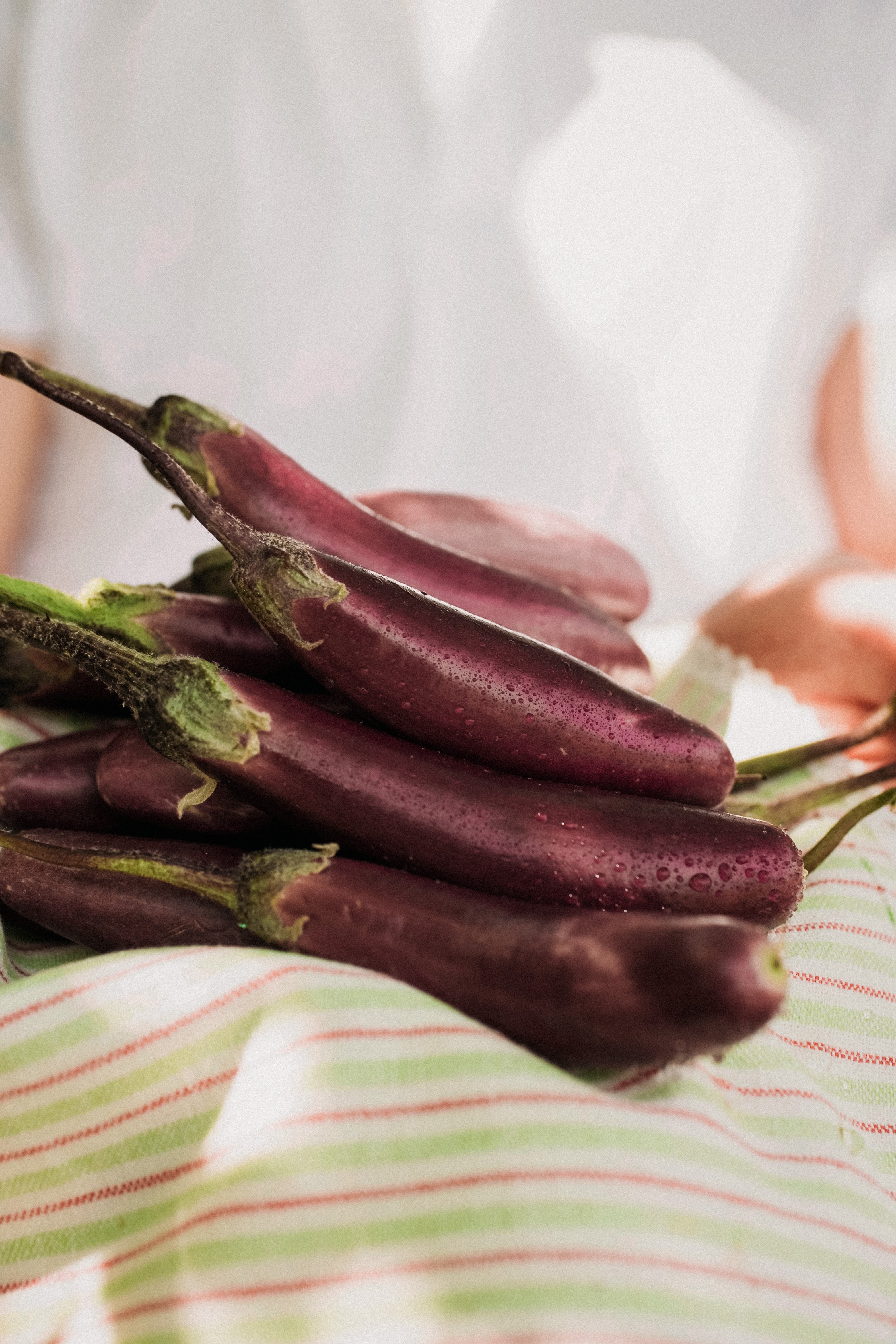 Aubergine 'Slim Jim'-Angelo