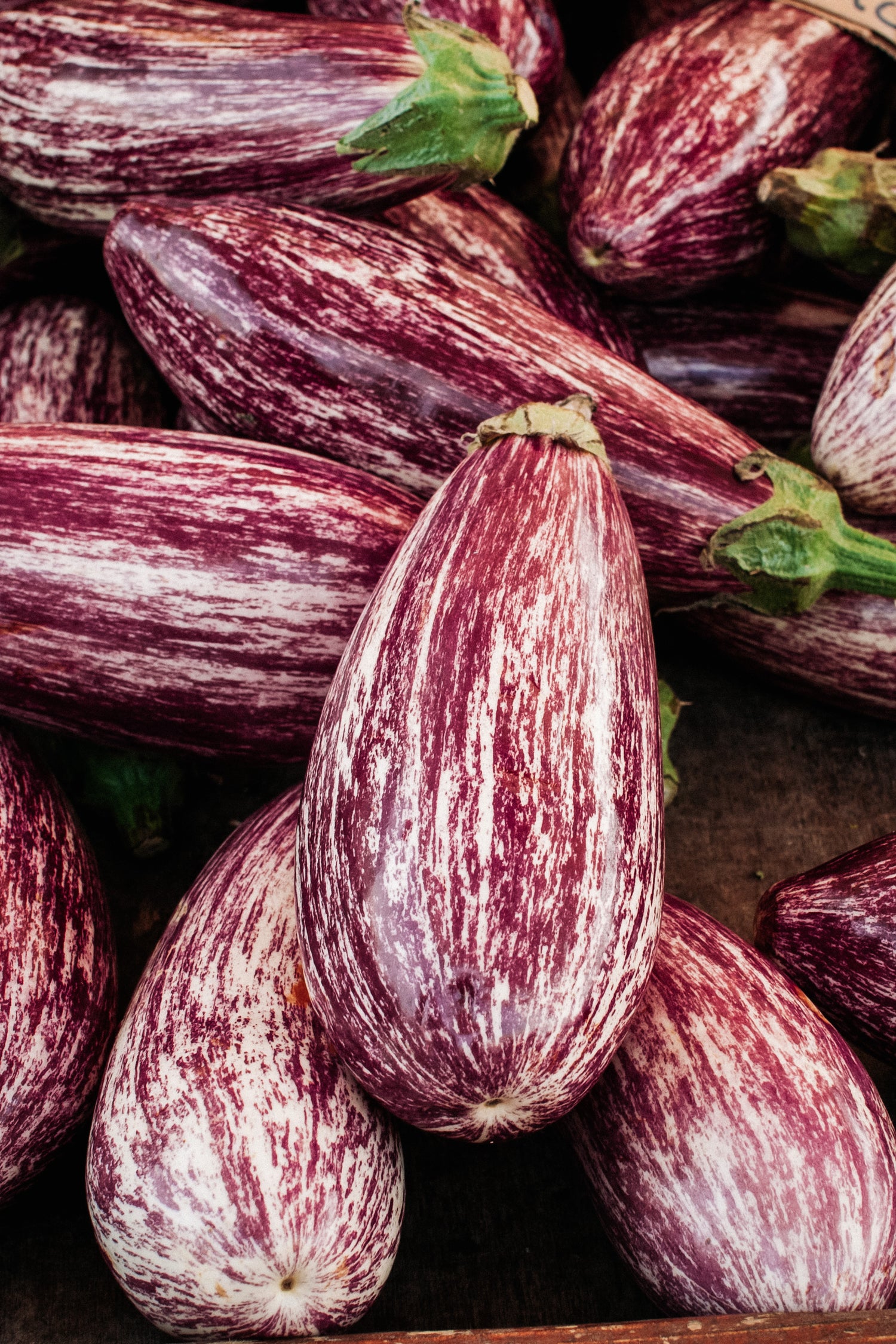 Aubergine &