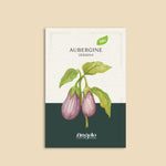 Aubergine 'Zébrina'-Angelo