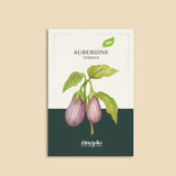 Aubergine 'Zébrina'-Angelo
