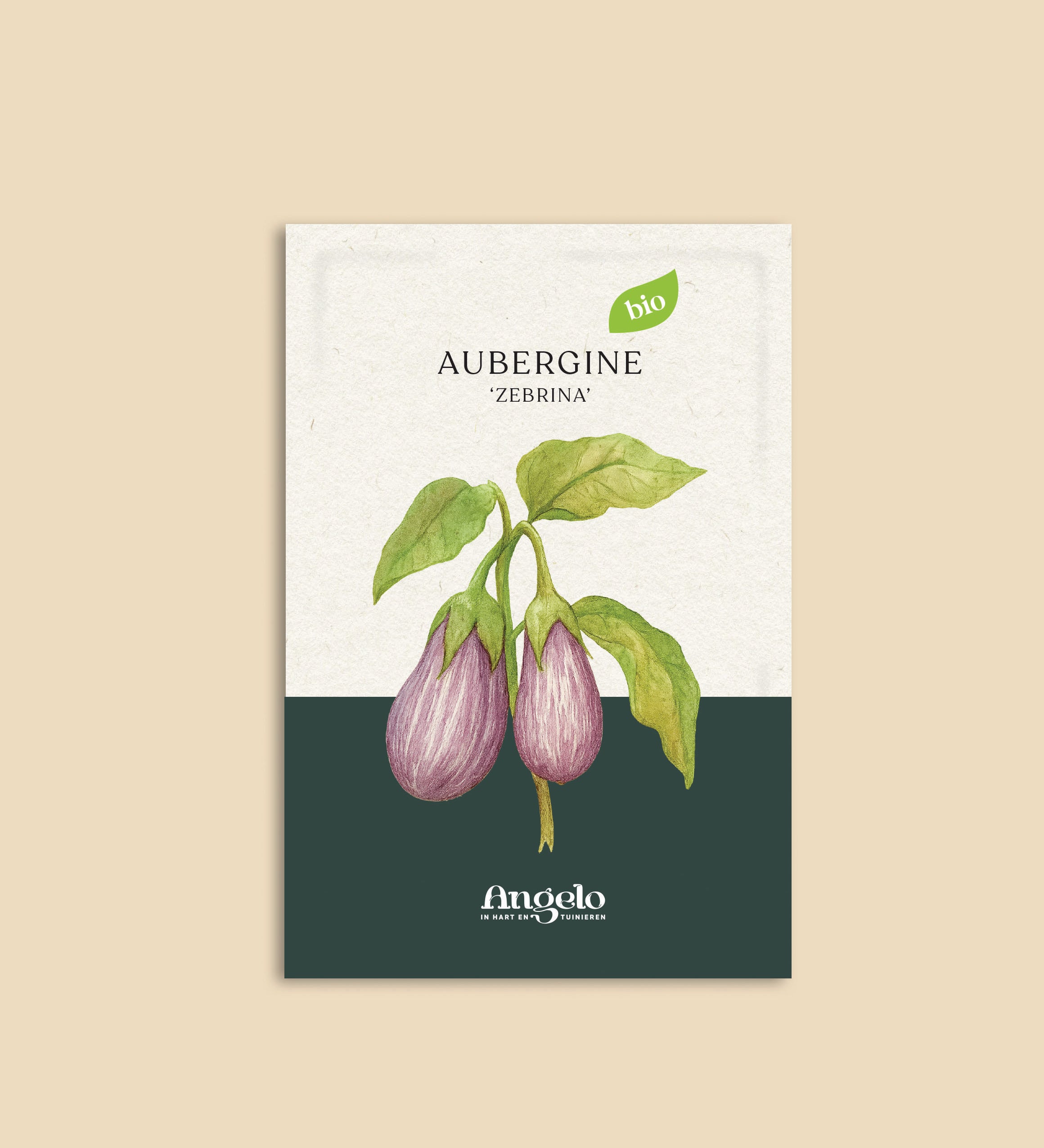 Aubergine 'Zébrina'-Angelo