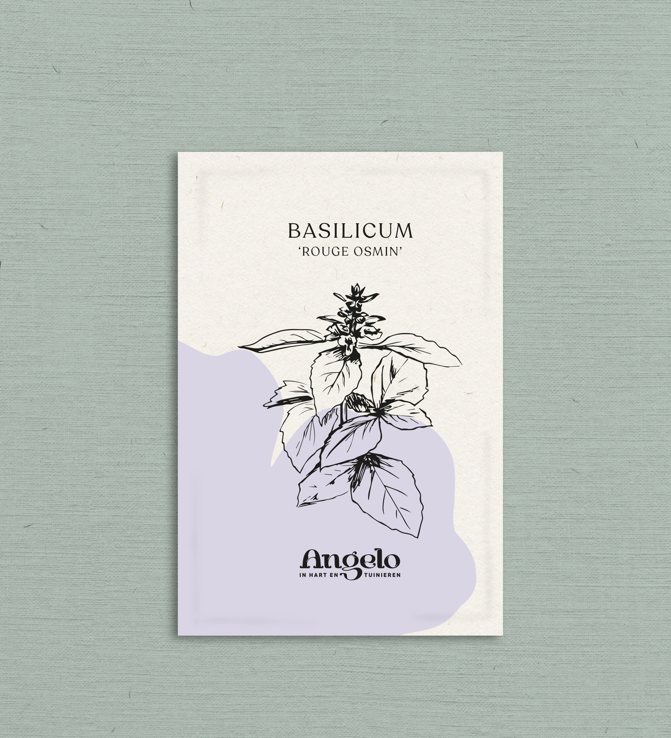 Basilicum 'Rouge Osmin'-Angelo