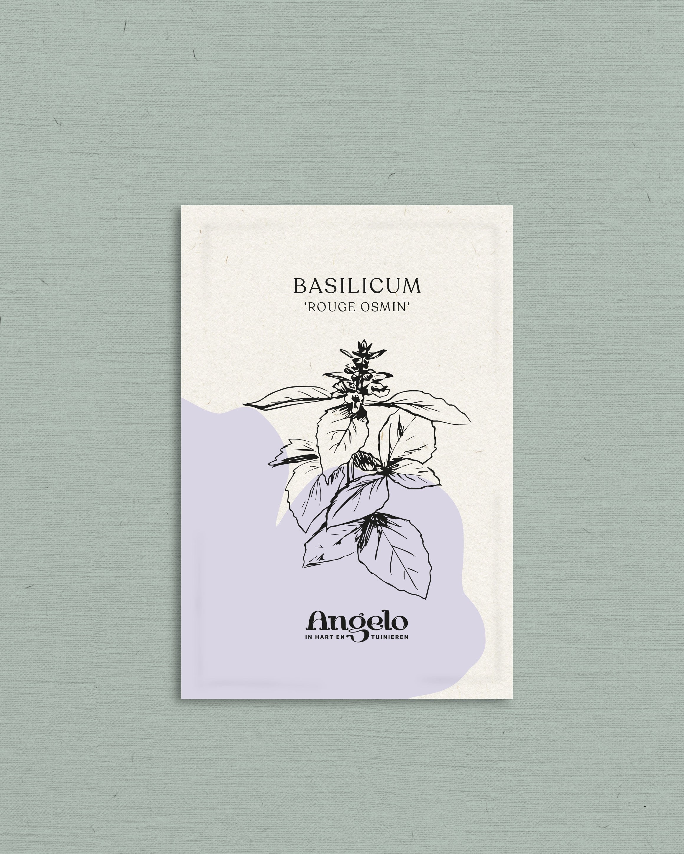 Basilicum 'Rouge Osmin'-Angelo