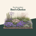 Borderpakket: Bee's Choice-Angelo