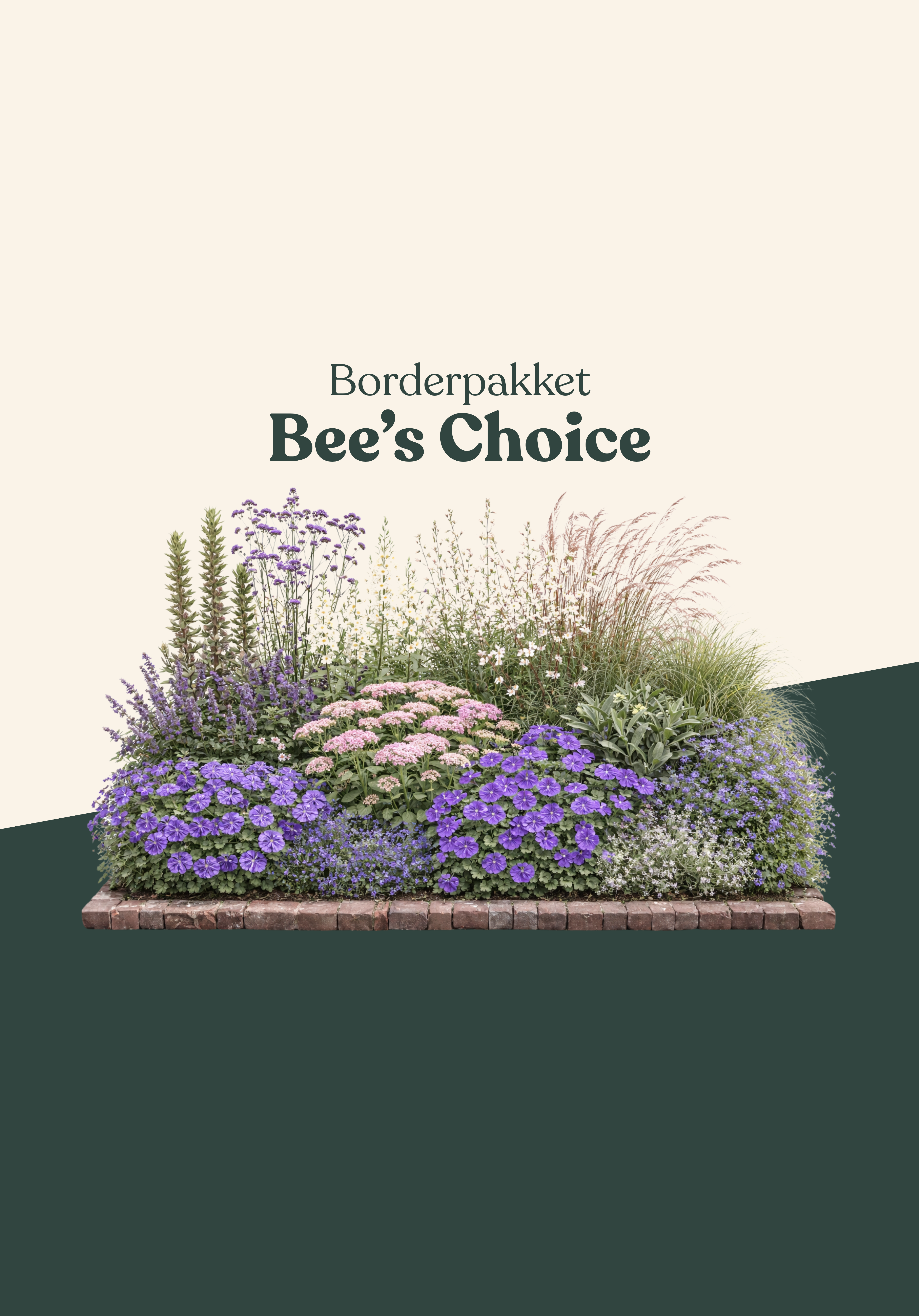 Borderpakket: Bee's Choice-Angelo