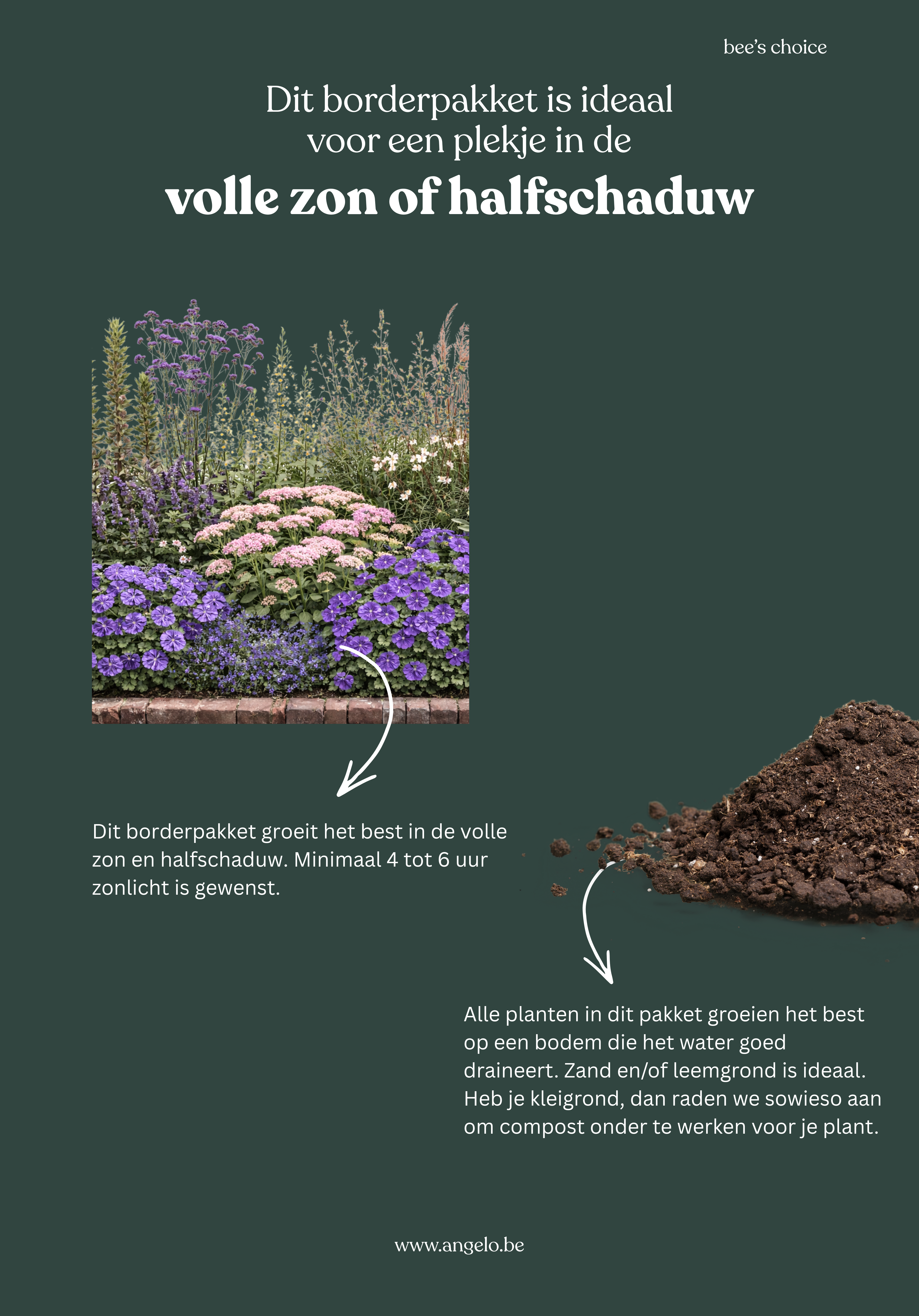 Borderpakket: Bee's Choice-Angelo