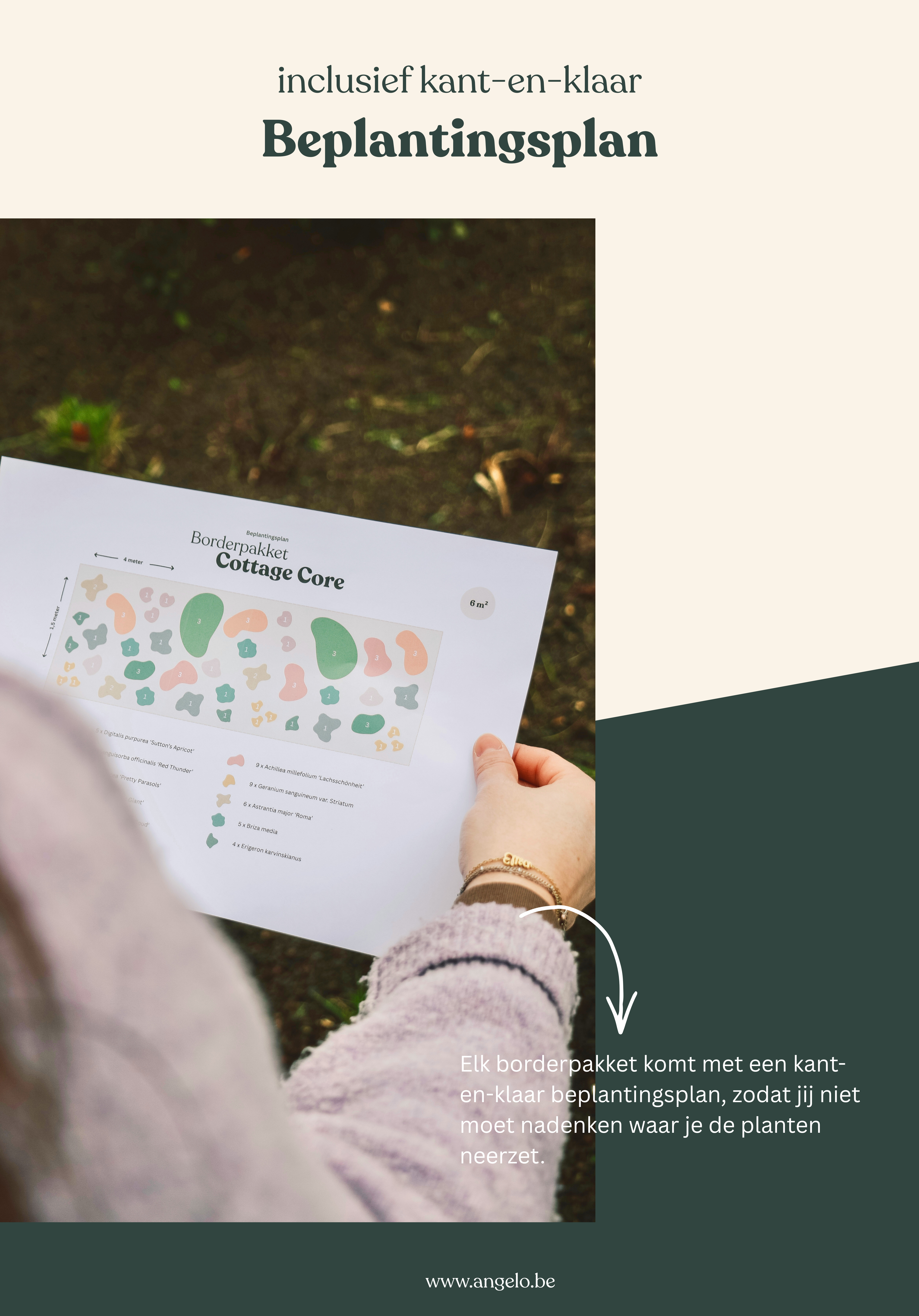 beplantingsplan