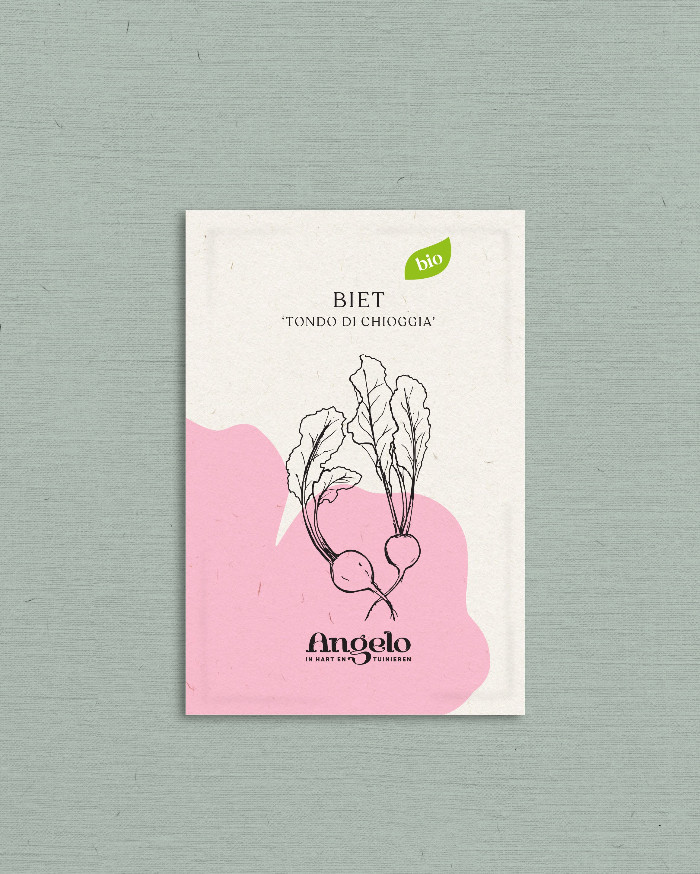 Biet 'Tondo di Chioggia'-Angelo