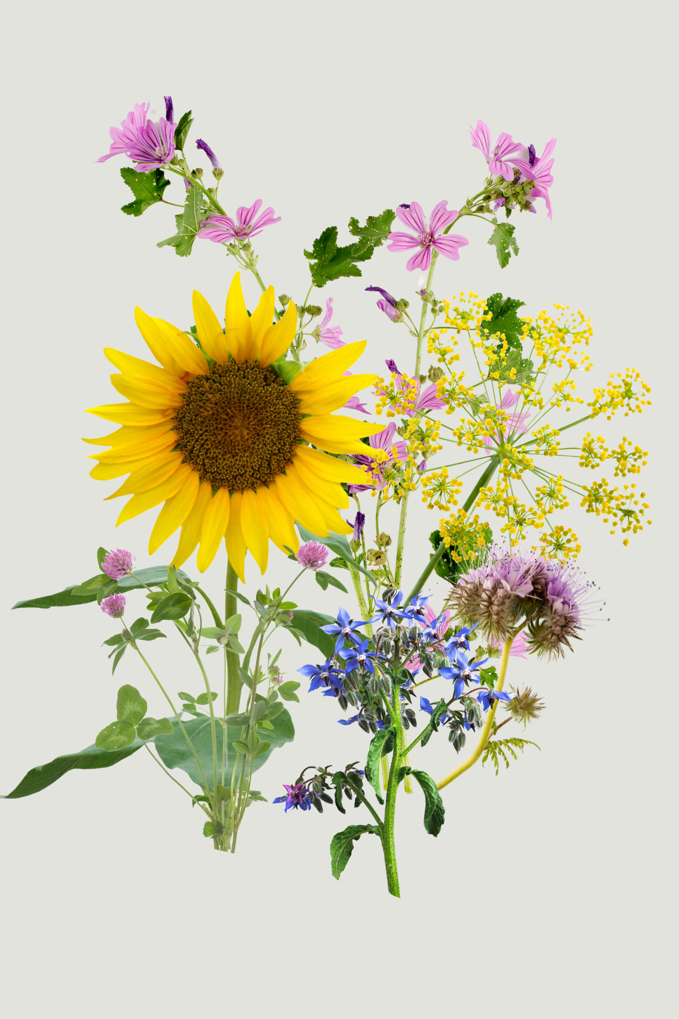 Bloemenmengeling &